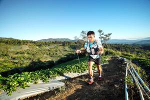 BIB: 313
                            <button type="button" onclick="openModal(19109582)" class="btn btn-primary btn-sm float-right btn-popup" data-toggle="modal" data-target=".modal-high-quality">
                        <i class="fas fa-shopping-cart"></i> Add to Cart
                    </button>
                                            <button type="button" onclick="isThisMe(19109582, true)" class="btn btn-success btn-sm float-right btn-popup btn-isme hidden" data-toggle="tooltip" data-placement="bottom" title="นี่คือรูปของคุณใช่ไหม คลิกที่นี่เพื่อเอาเข้าอัลบั้ม">
                        <i class="fas fa-plus"></i> Add to album
                    </button>
                    <button type="button" onclick="isThisMe(19109582, false)" class="btn btn-warning btn-sm float-right btn-popup btn-isnotme hidden">
                        <i class="fas fa-ban"></i> Remove from album
                    </button>